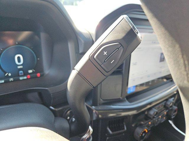 new 2025 Ford F-150 car, priced at $48,480