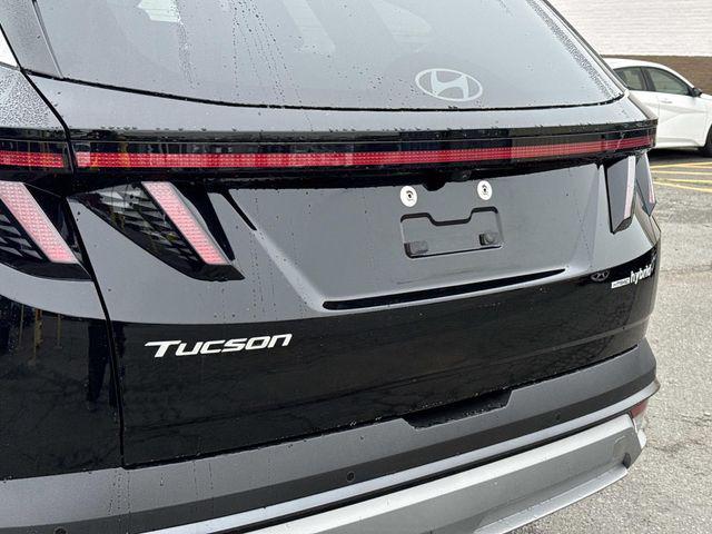 used 2025 Hyundai TUCSON Hybrid car, priced at $36,800
