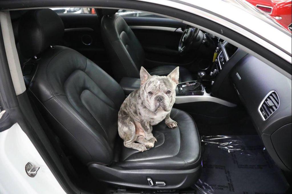 used 2014 Audi A5 car, priced at $12,896