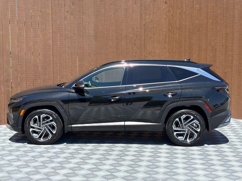 used 2025 Hyundai Tucson car, priced at $34,242