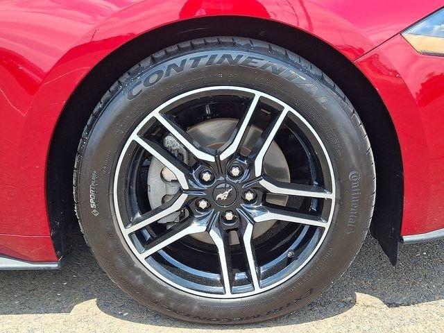 used 2021 Ford Mustang car, priced at $25,489