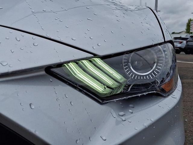 used 2019 Ford Mustang car, priced at $19,699