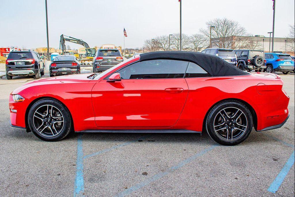 used 2019 Ford Mustang car, priced at $19,499