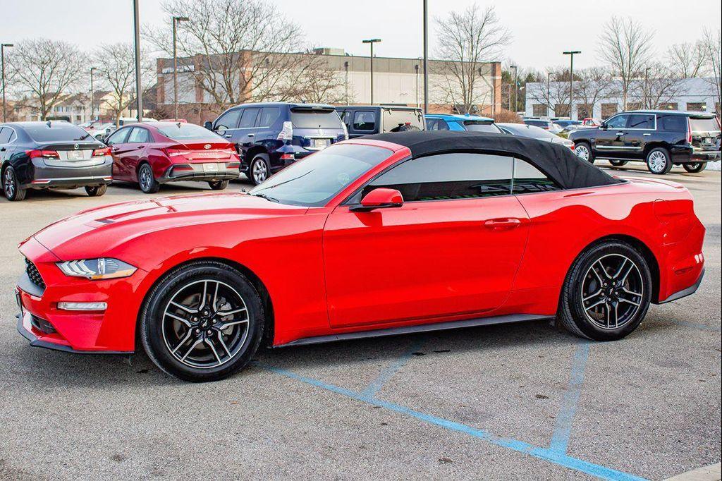used 2019 Ford Mustang car, priced at $19,499