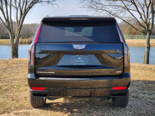 used 2024 Cadillac Escalade car, priced at $80,977