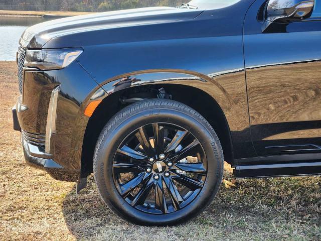 used 2024 Cadillac Escalade car, priced at $80,977