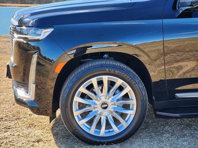 used 2021 Cadillac Escalade car, priced at $55,977