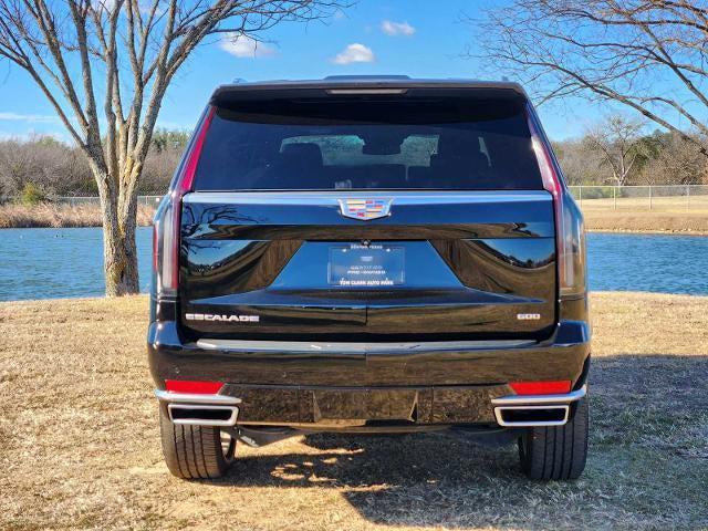 used 2021 Cadillac Escalade car, priced at $55,977