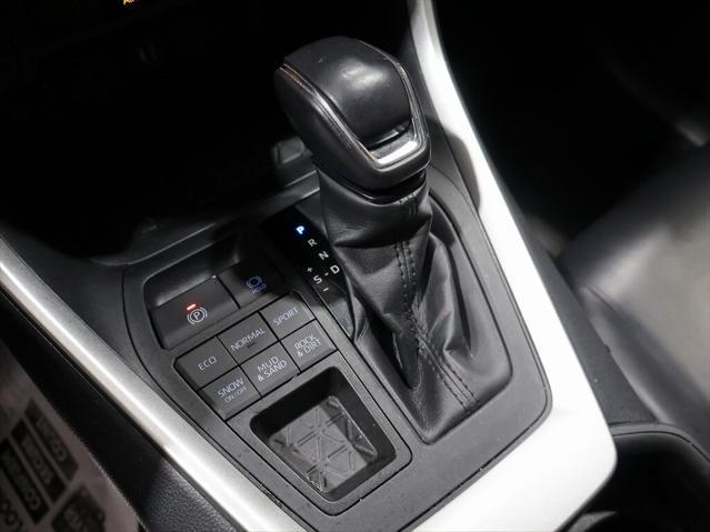 2019 Blizzard Pearl Toyota RAV4