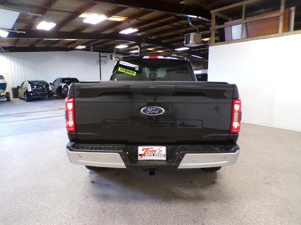 used 2023 Ford F-150 car, priced at $23,995