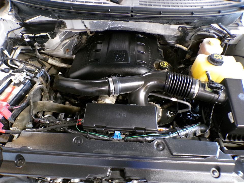 used 2010 Ford F-150 car