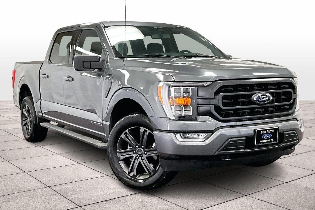 used 2023 Ford F-150 car, priced at $39,500