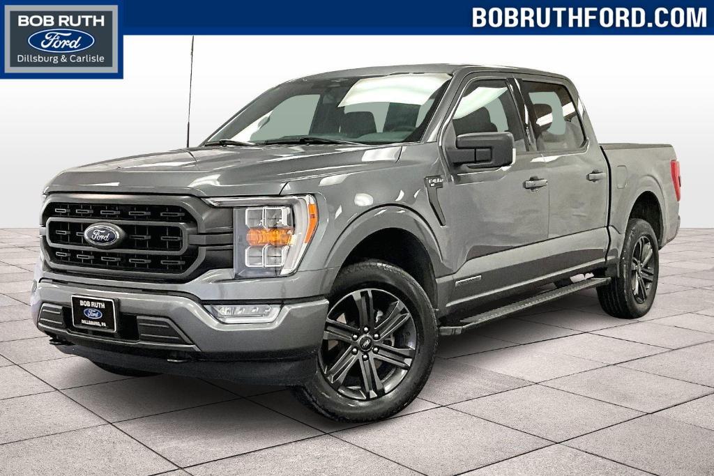 used 2023 Ford F-150 car, priced at $39,500