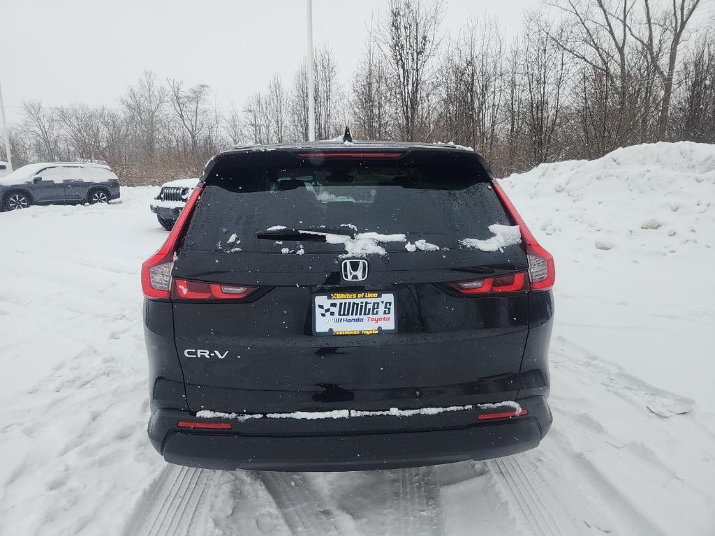 used 2024 Honda CR-V car, priced at $31,800