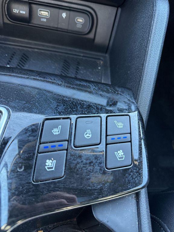 used 2023 Kia Sportage car