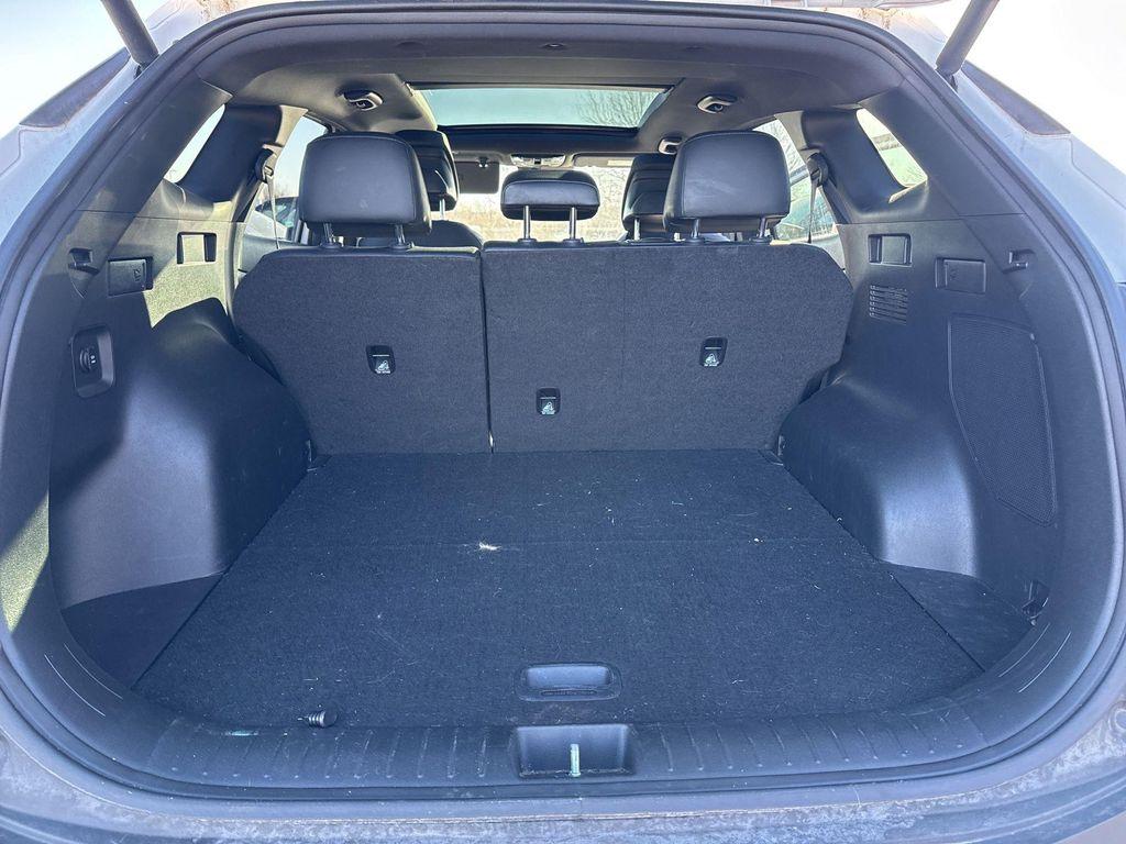 used 2023 Kia Sportage car