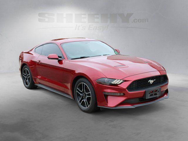 used 2019 Ford Mustang car, priced at $17,848