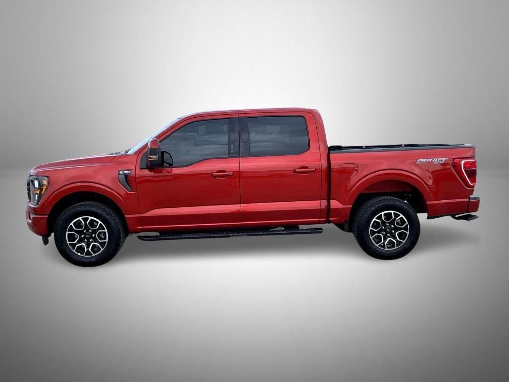used 2023 Ford F-150 car, priced at $43,989