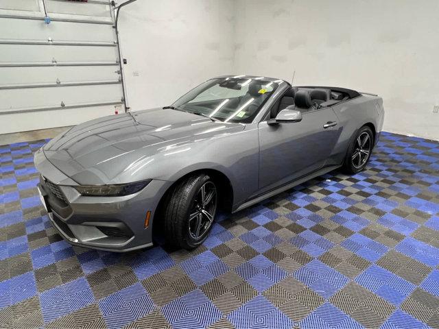 used 2025 Ford Mustang car, priced at $34,300