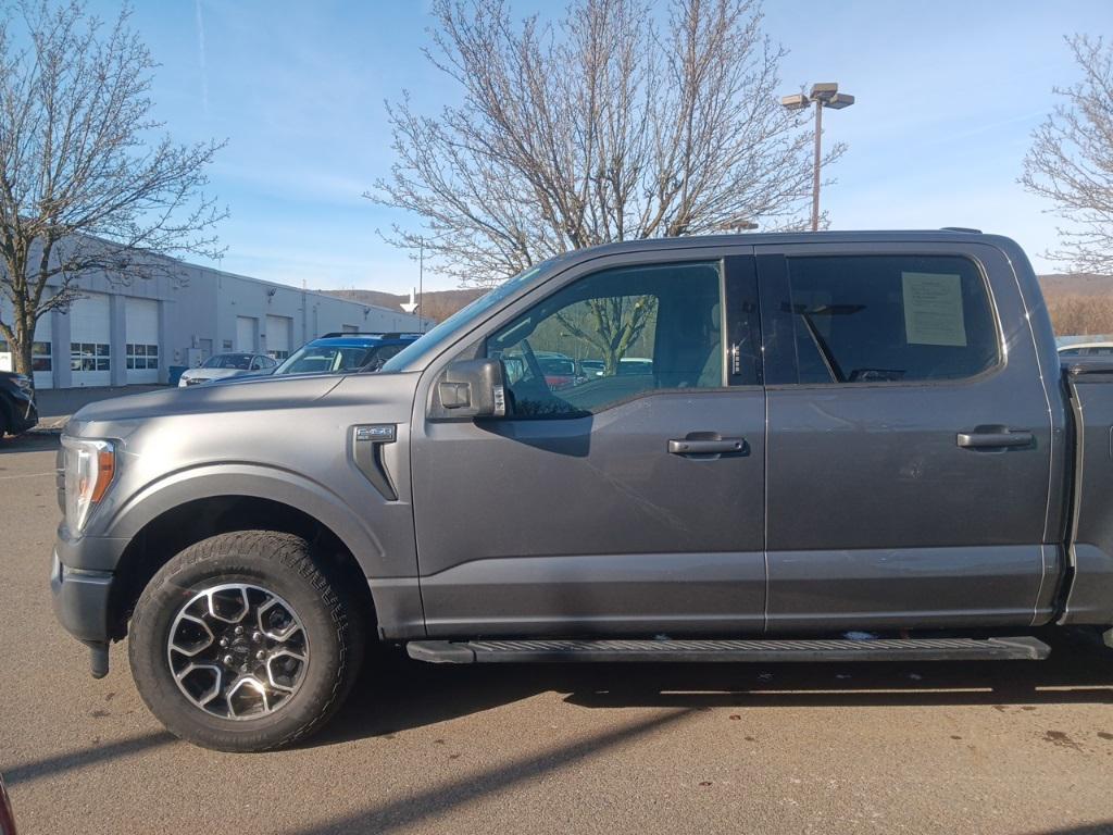 used 2023 Ford F-150 car, priced at $36,257