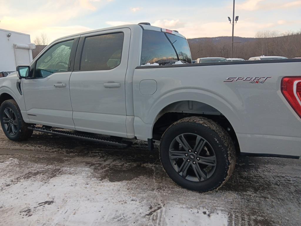 used 2023 Ford F-150 car, priced at $43,988