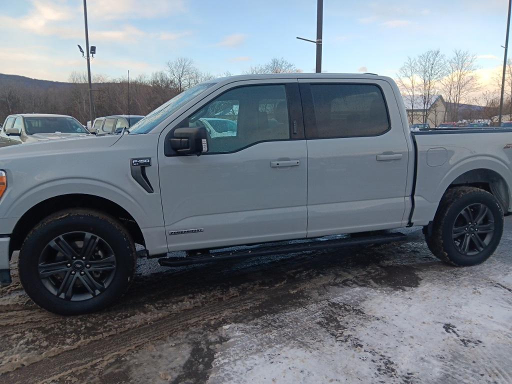 used 2023 Ford F-150 car, priced at $43,988
