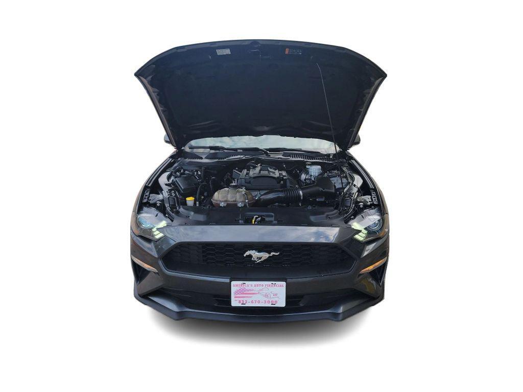 used 2019 Ford Mustang car, priced at $15,995