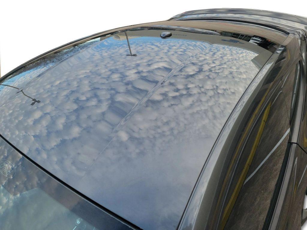 used 2019 Ford Mustang car, priced at $15,995