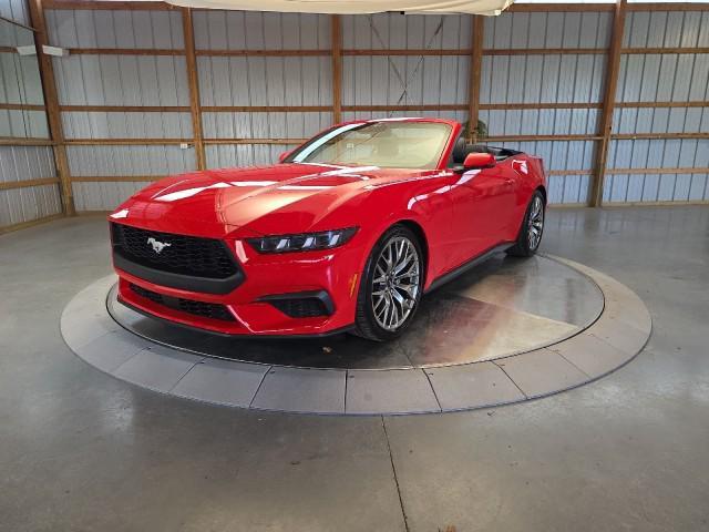 used 2025 Ford Mustang car, priced at $40,580