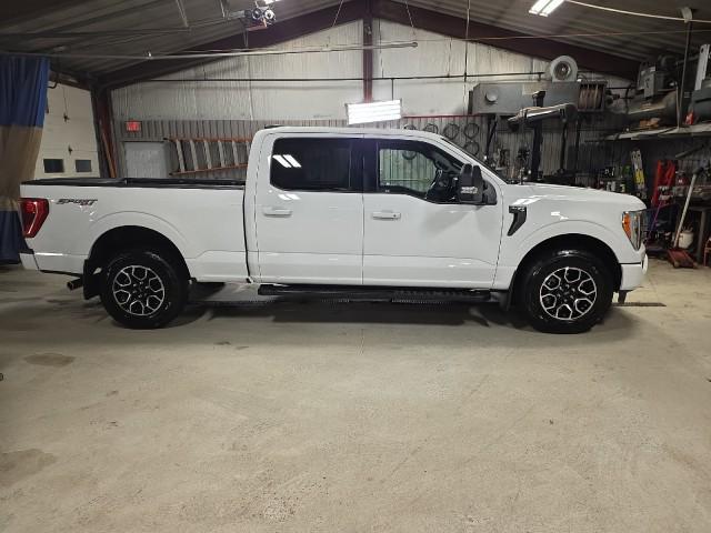 used 2023 Ford F-150 car, priced at $43,980