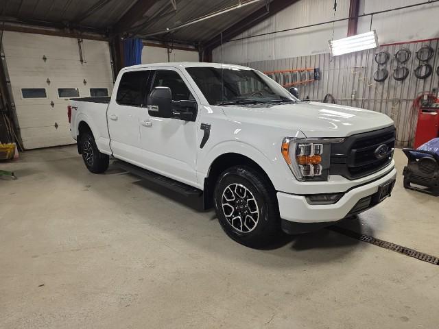 used 2023 Ford F-150 car, priced at $43,980