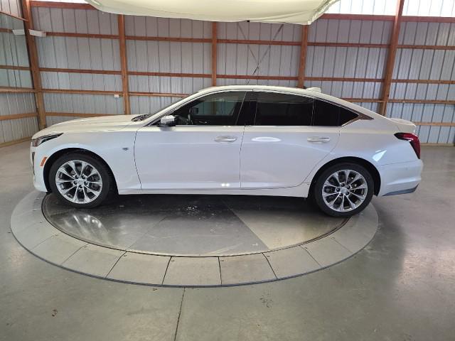used 2023 Cadillac CT5 car, priced at $40,980