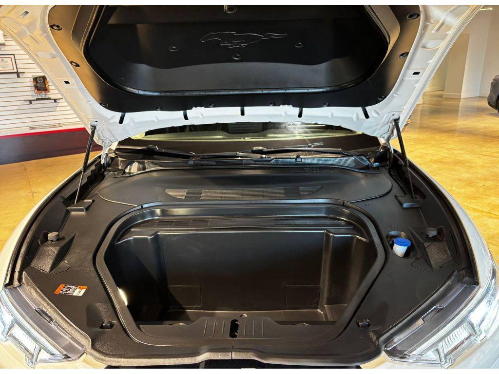 used 2021 Ford Mustang Mach-E car, priced at $21,999