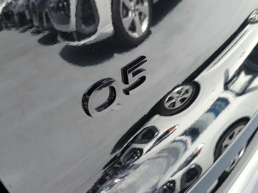 Audi Q5 view 11