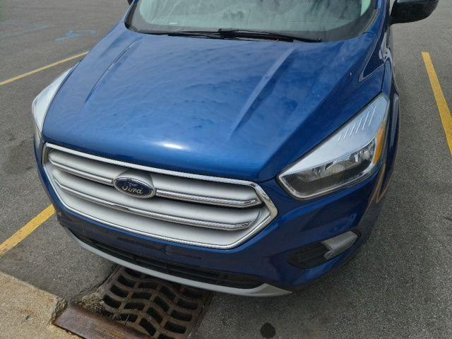 used 2019 Ford Escape car, priced at $8,379