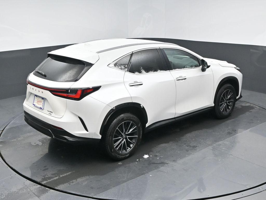 used 2024 Lexus NX 250 car, priced at $33,200