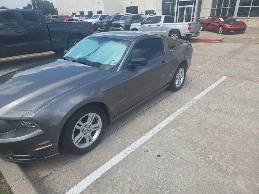 used 2013 Ford Mustang car