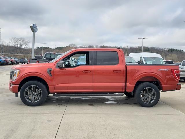 used 2023 Ford F-150 car