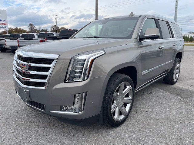 used 2019 Cadillac Escalade car, priced at $26,995