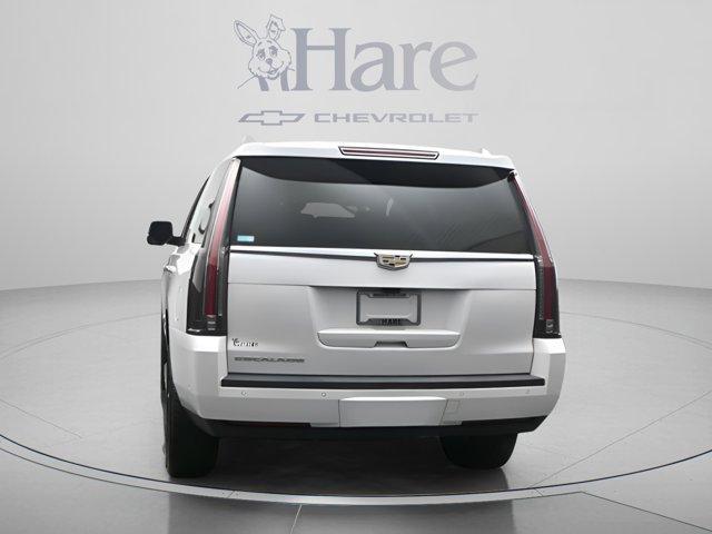 used 2019 Cadillac Escalade car, priced at $26,554