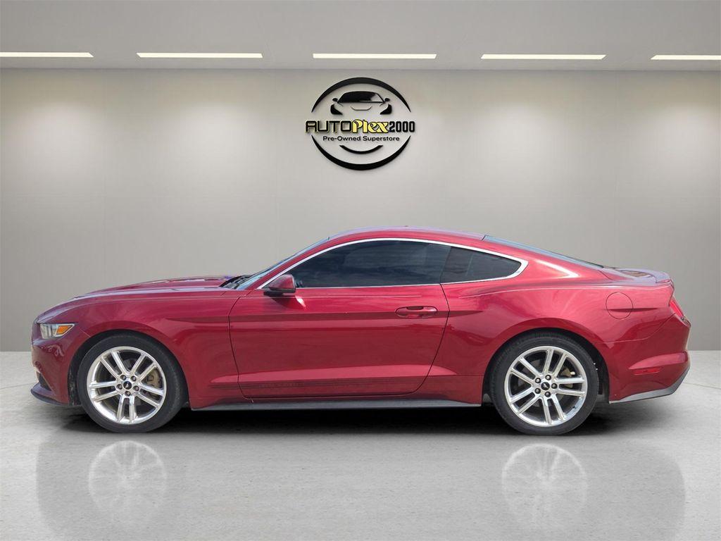 used 2017 Ford Mustang car