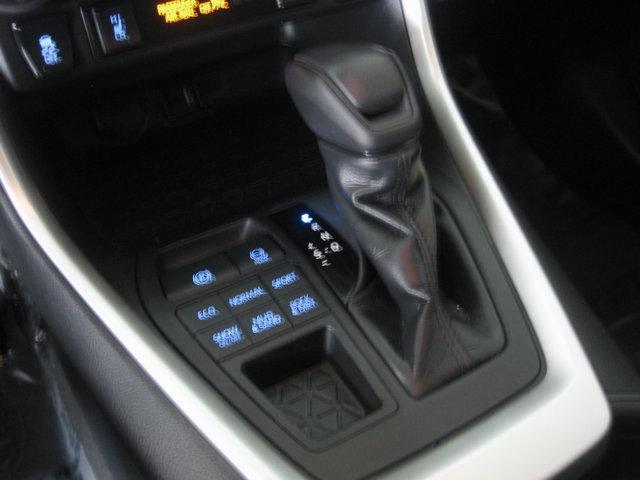 used 2019 Toyota RAV4 car, priced at $21,490