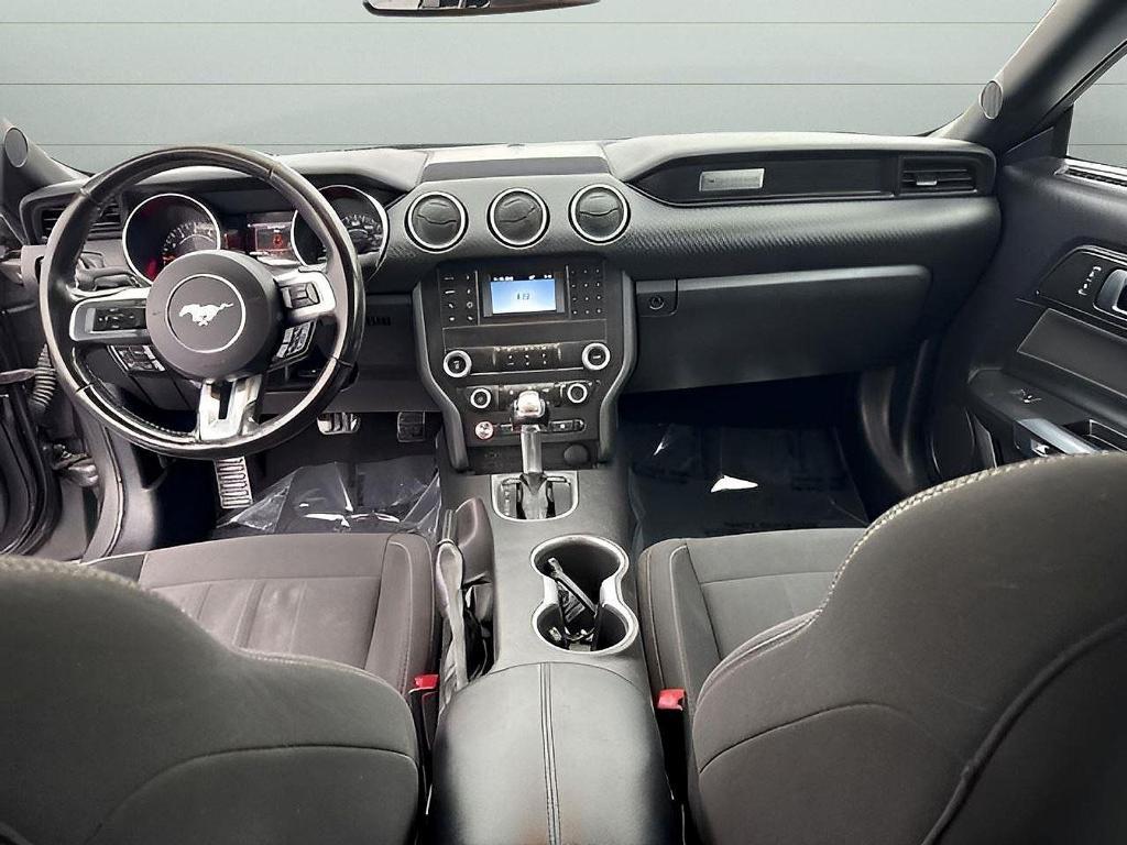 used 2019 Ford Mustang car, priced at $19,499