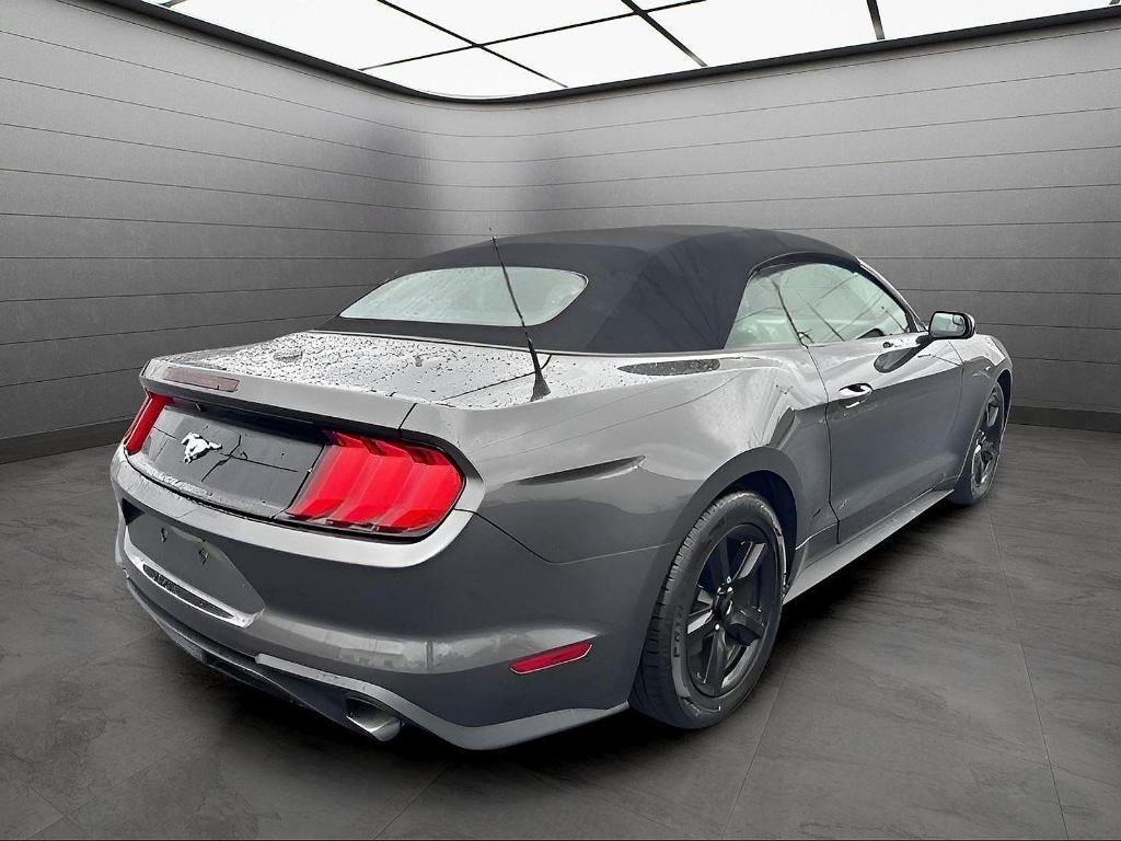 used 2019 Ford Mustang car, priced at $19,499