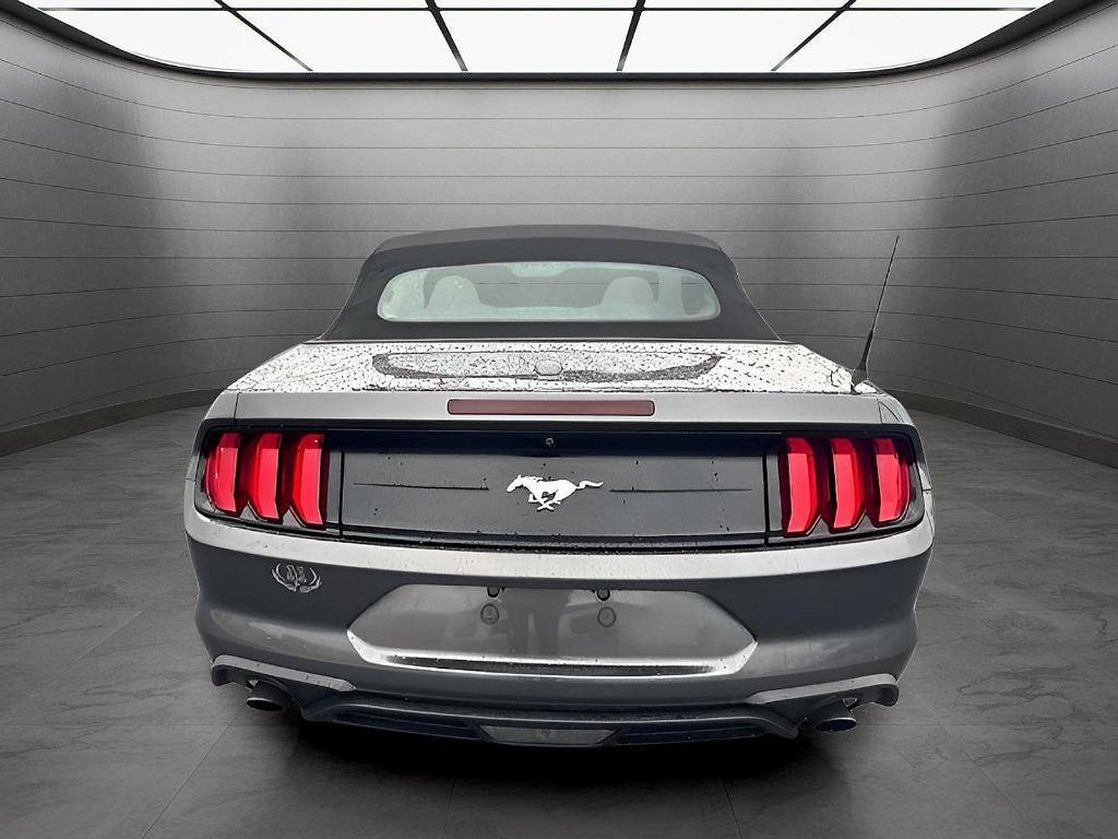 used 2019 Ford Mustang car, priced at $19,499