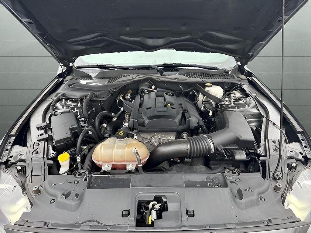 used 2019 Ford Mustang car, priced at $19,499