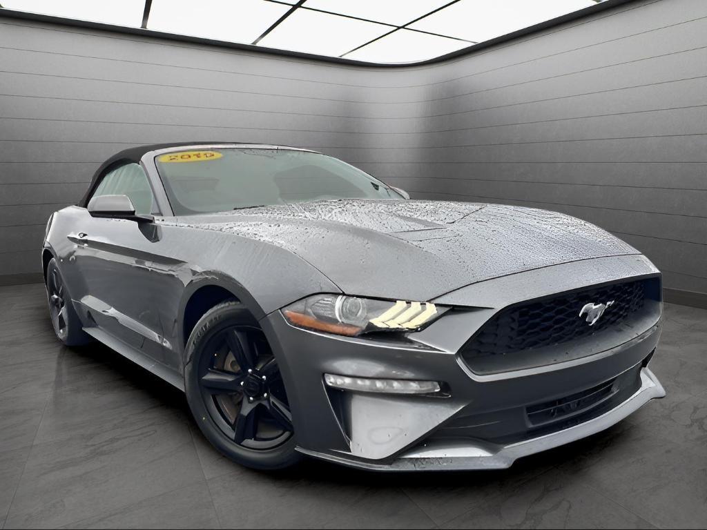 used 2019 Ford Mustang car, priced at $19,499
