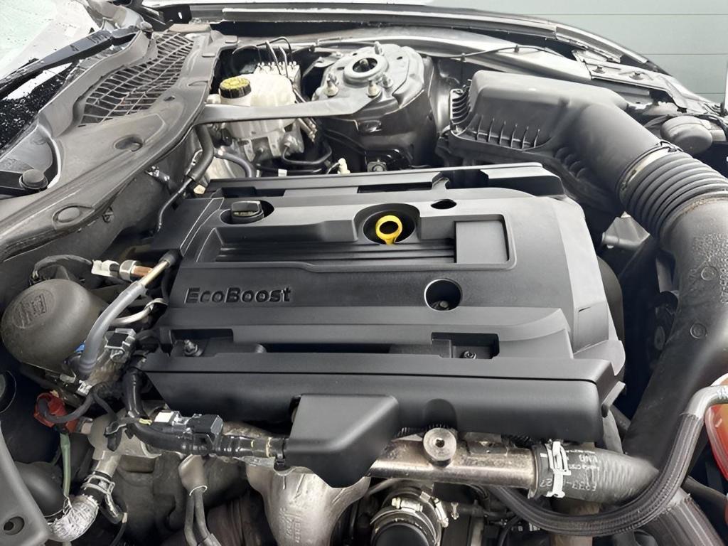 used 2019 Ford Mustang car, priced at $19,499