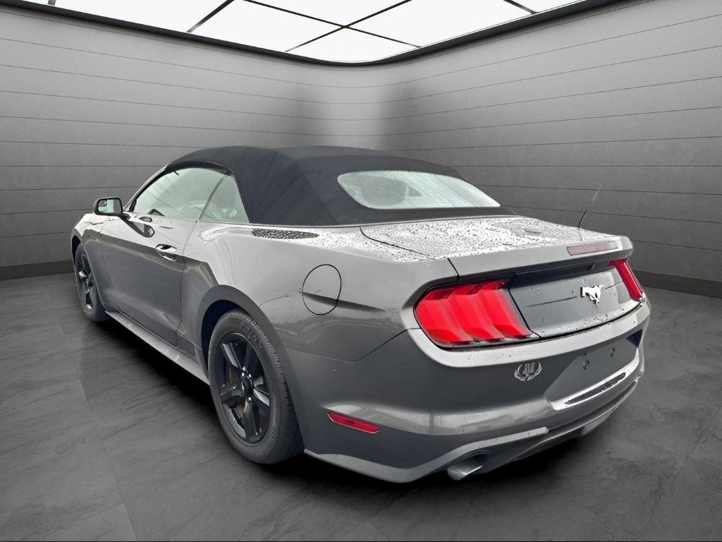 used 2019 Ford Mustang car, priced at $19,499