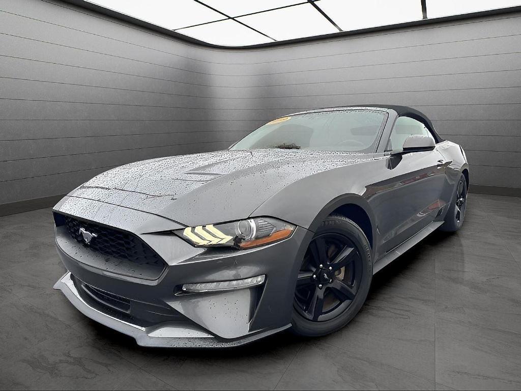used 2019 Ford Mustang car, priced at $19,499